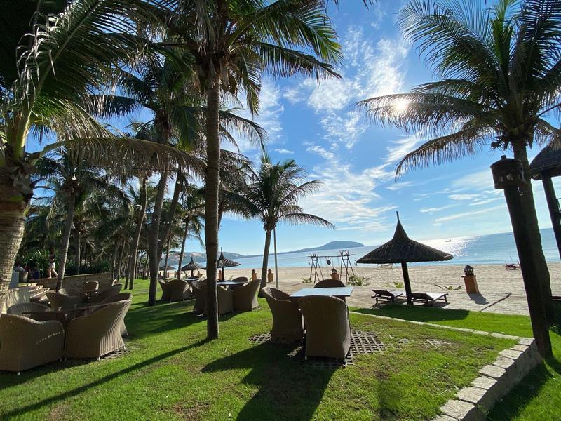 Strand met ligstoelen en palmbomen onder blauwe lucht bij de zee