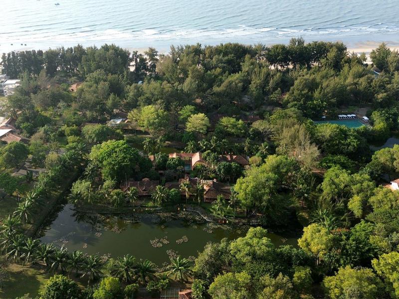Zone de jardin verdoyante avec étangs et arbres près d'une plage de sable au bord de la mer