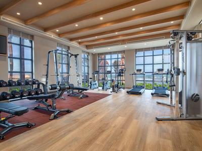 Spacious gym with dumbbells, machines, and large windows offering outdoor views.