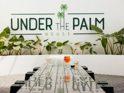 Moderner Besprechungsraum mit langem Glastisch und Pflanze vor Wand mit Schriftzug "Under the Palm House".