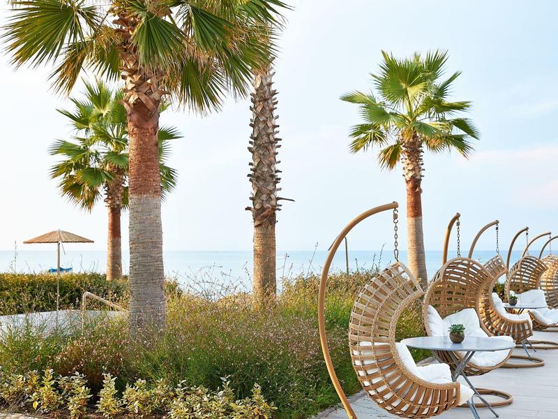 Beachside lounge area with palm trees, hanging chairs, and ocean view under a clear sky.