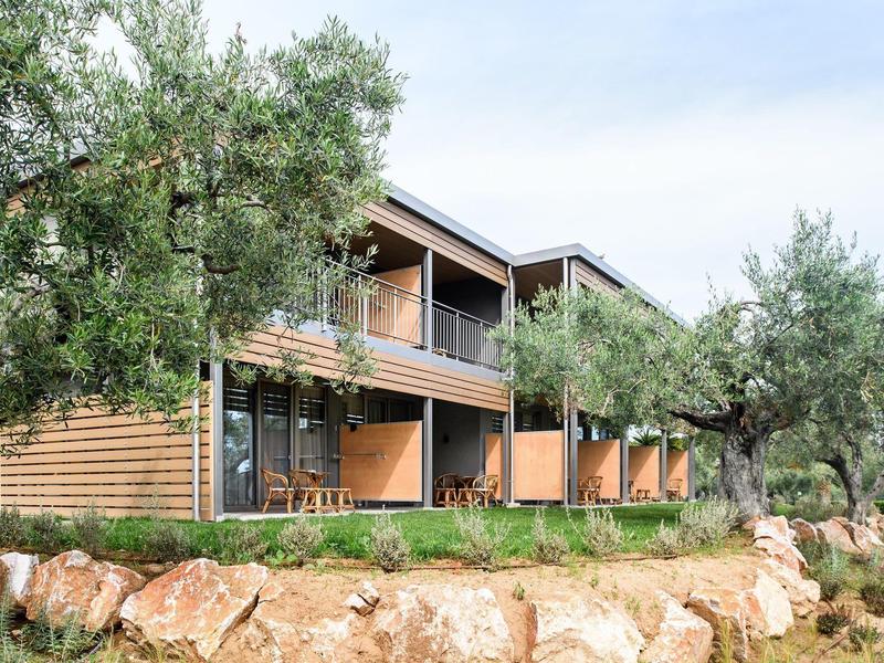 Modernes Holzhaus mit Balkon, umgeben von Olivenbäumen und steiniger Gartenanlage.