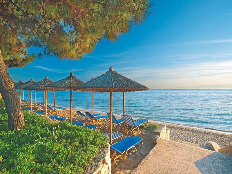 Beach with sun loungers and umbrellas by the sea under a blue sky and trees.