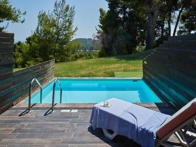 Small pool with blue tiles, lounge chair and towel, surrounded by trees and greenery.