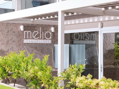 Moderner Eingangsbereich mit Glasfront und grünem Pflanzenbeet im Vordergrund.