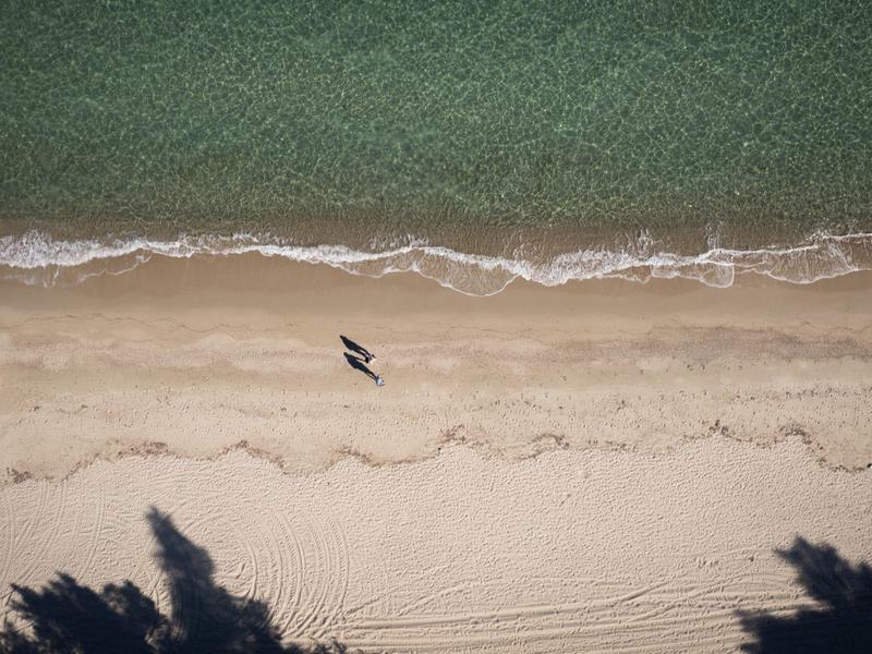 Osoba surfující na klidném moři poblíž písečné pláže se stíny stromů.