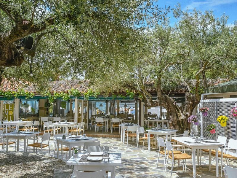 Outdoor restaurant with white tables and chairs under large trees on a sunny day.