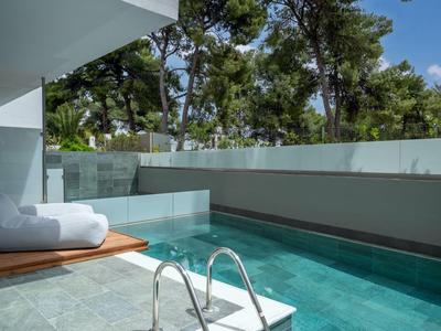 Piscine privée avec eau claire à côté d'un salon moderne entouré d'arbres.
