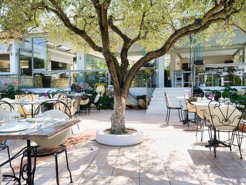 Terraza soleada con árbol, mesas y sillas en un jardín del hotel.