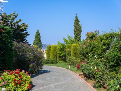Schwungvoller Weg durch üppigen Garten mit Blüten und hohen Bäumen unter blauem Himmel.
