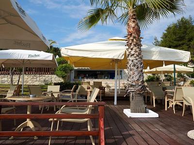 Outdoor-Bereich eines Cafés mit Tischen, Stühlen und Sonnenschirmen um Palmen herum.