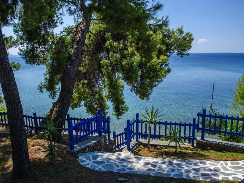 Niebieski płot wzdłuż kamiennej ścieżki przy drzewach z widokiem na spokojne morze pod czystym niebem.