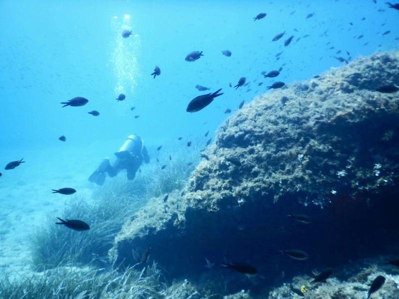 Potápěč plave poblíž velkého korálového útesu obklopen malými černými rybami v čisté modré vodě.
