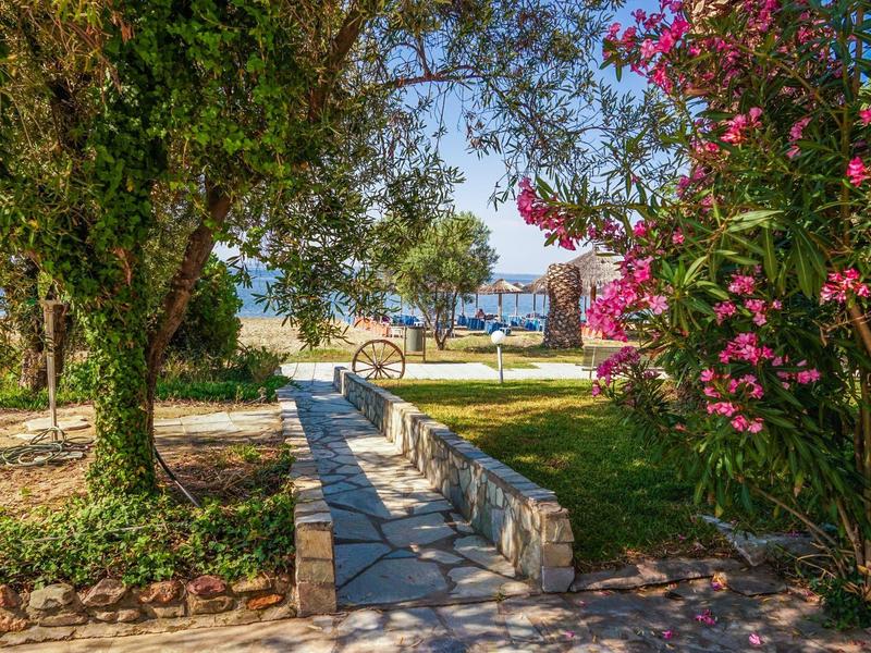 Słoneczna ścieżka w ogrodzie z dużymi drzewami i kwitnącymi krzewami prowadząca do domu wakacyjnego nad wodą.