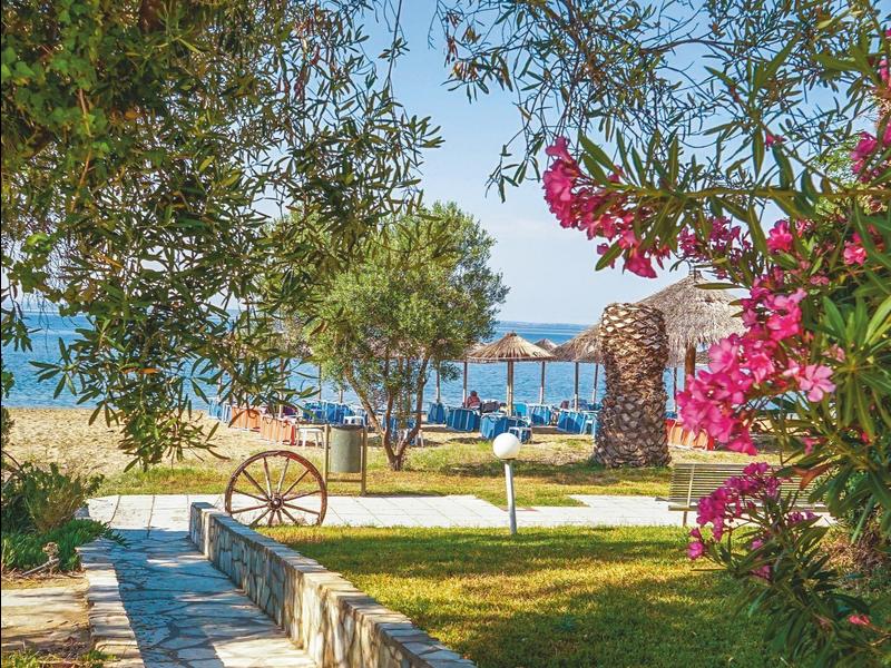 Ścieżka z kamiennym murem prowadzi do plaży i morza, otoczona drzewami i kolorowymi kwiatami.