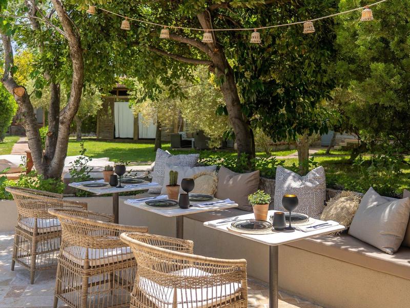 Cozy outdoor seating area with chairs and tables under trees and string lights.