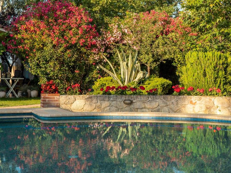 A tranquil pool with clear water reflections surrounded by colorful trees and shrubs.