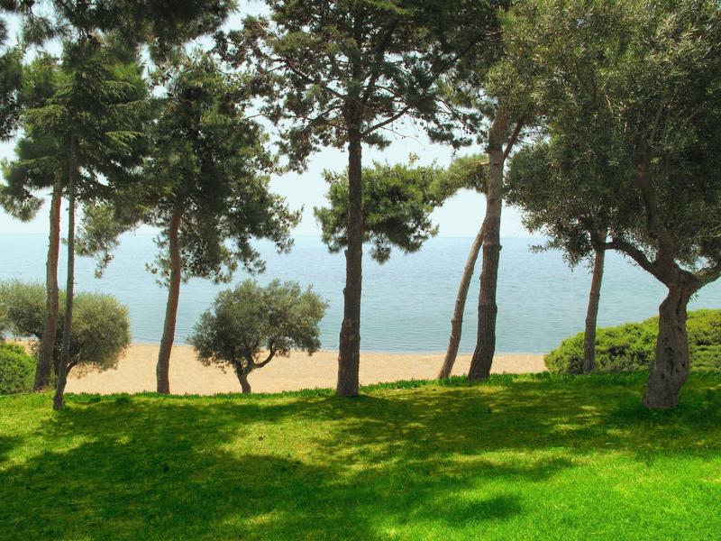 Prato verde con alberi davanti a una spiaggia sabbiosa e il mare sullo sfondo.