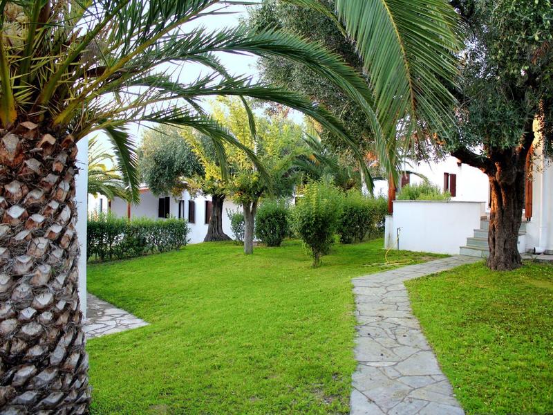 Giardino verde con palme e un sentiero di pietra che conduce a una casa bianca.