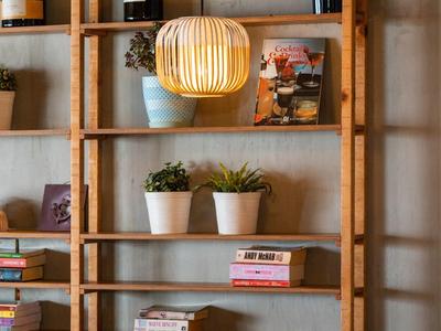 Półka z książkami, roślinami doniczkowymi i wiszącą lampą na tle betonowej ściany