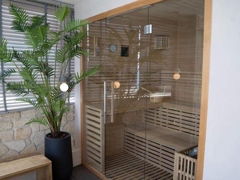 Nowoczesna sauna z szklanymi drzwiami i drewnianym wnętrzem obok dużej rośliny w jasnym pomieszczeniu.