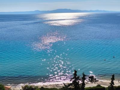 Klares türkisfarbenes Meer trifft auf einen kleinen Sandstrand mit vereinzelten Pflanzen.