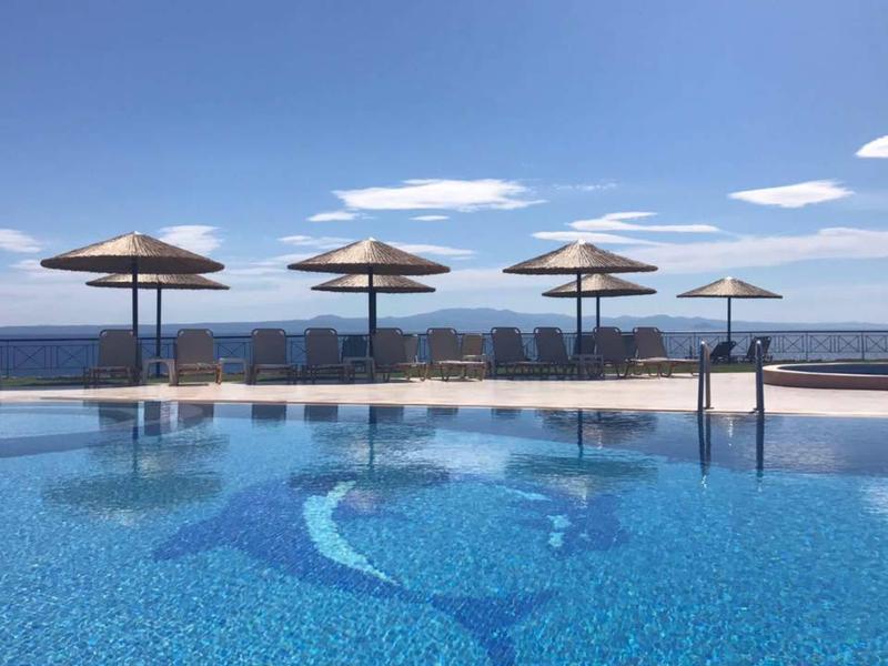 Helderblauw zwembad met dolfijnontwerp, parasols en uitzicht op zee onder blauwe lucht.
