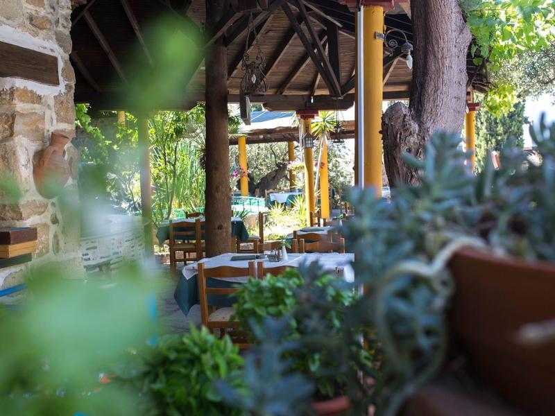 Gezellig terras van een restaurant buiten met houten tafels en veel groen.
