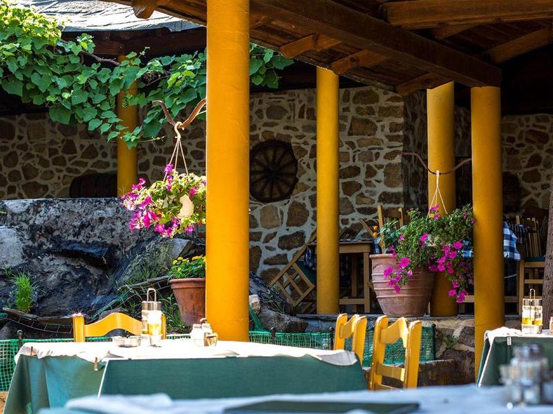 Kleurrijke restaurantstoelen en gedekte tafels onder gele zuilen en wijnranken.