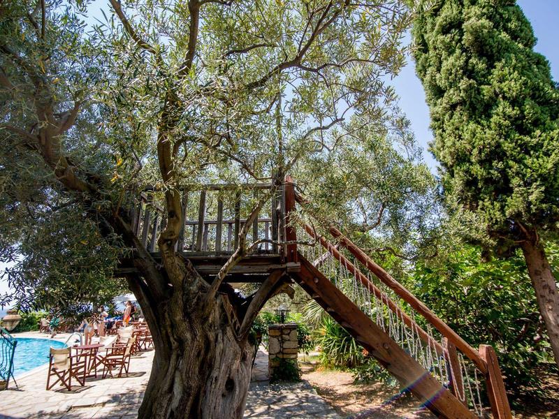 Houten platform en trap aan een grote boom naast een buitenzwembad.