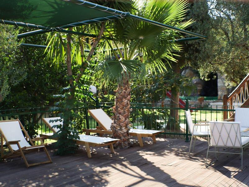 Zonterras met ligstoelen en tafels naast een palmboom in een tuinhotel