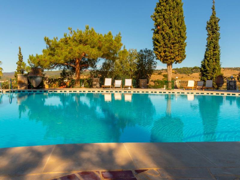 Groot buitenzwembad met ligstoelen en bomen onder een heldere hemel