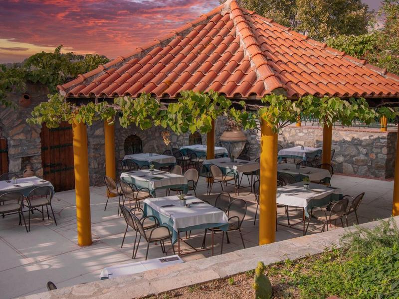 Overdekt buitenterras met tafels en stoelen, omgeven door wijnstokken en natuur.