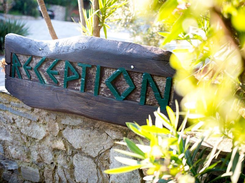 Houten bord met het woord 'Reception' in groene letters op stenen muur naast planten.