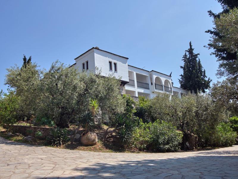 Wit hotelgebouw met balkons achter bomen en struiken onder een heldere blauwe lucht.