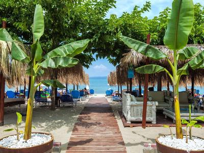 Camino de playa con palmeras y sombrillas junto a la arena y vista al mar.