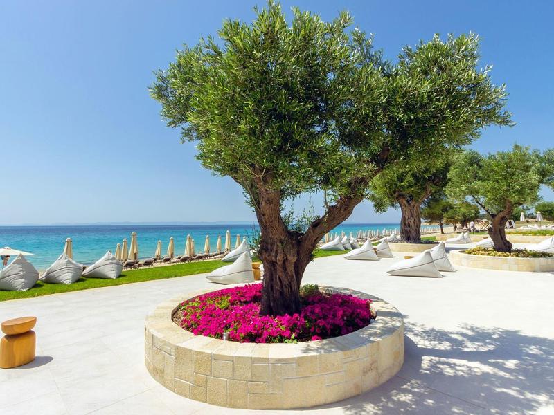 Baum mit rosa Blumen in rundem Steinbeet am weißen Strand mit blauer See und Sonnenschirmen.