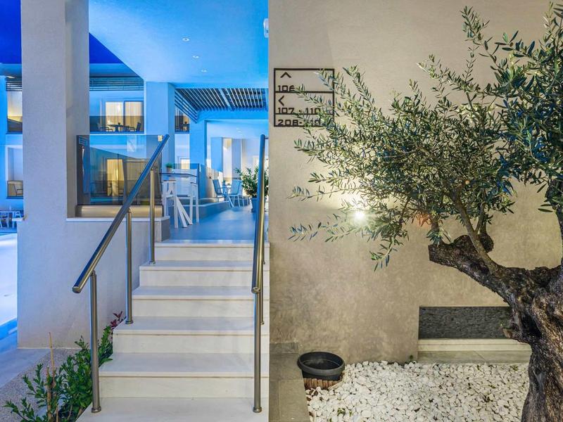 Entrée moderne avec escaliers, terrasse éclairée et olivier dans du gravier décoratif.