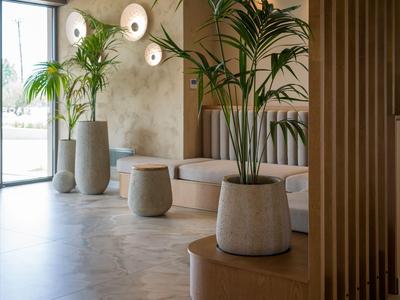Moderner Innenraum mit großen Pflanzen in Töpfen und minimalistischer Einrichtung.