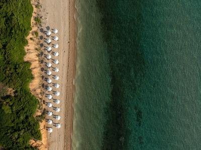 Aerial view of a beach with rows of umbrellas beside clear greenish water and dense vegetation.