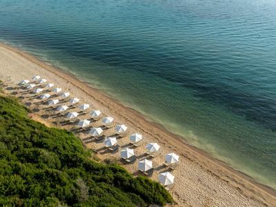 Aerial view of a beach with rows of white umbrellas next to green wooded shoreline.