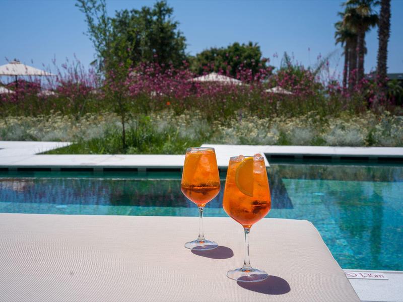 Two glasses with orange drinks on the edge of a pool with plants and palm trees in the background.