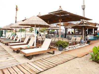 Strandbar mit Liegestühlen, Strohdächern und Holzboden, umgeben von Sand und Pflanzen.
