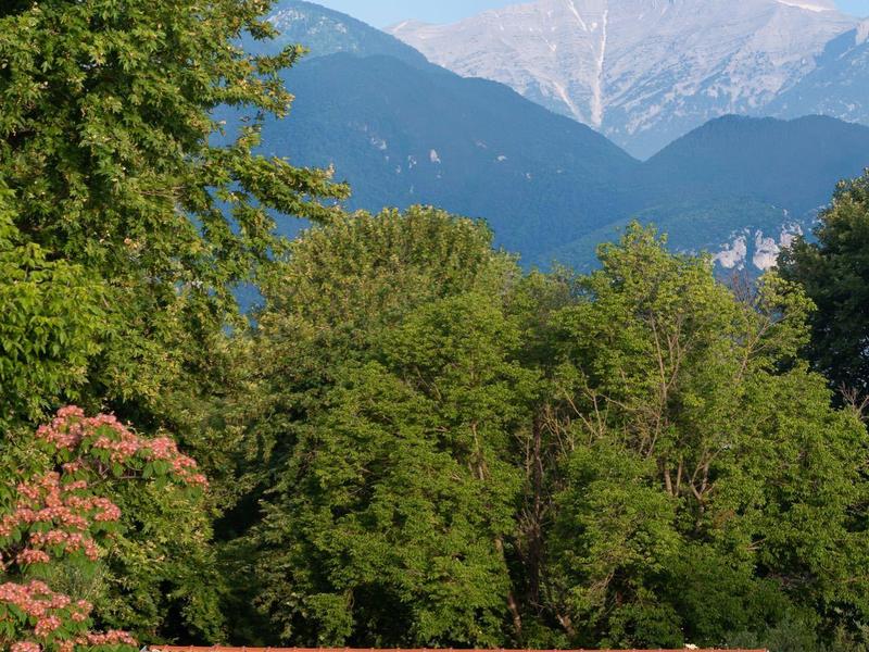 Small holiday house with red roof surrounded by trees and mountains in the background.