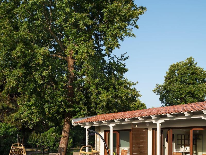 Wooden house with terrace, hanging chairs, and lounge chairs in front of a large tree under blue sky.