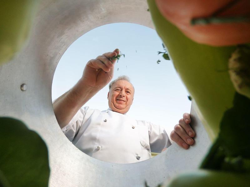 View from a container looking up at a chef holding herbs