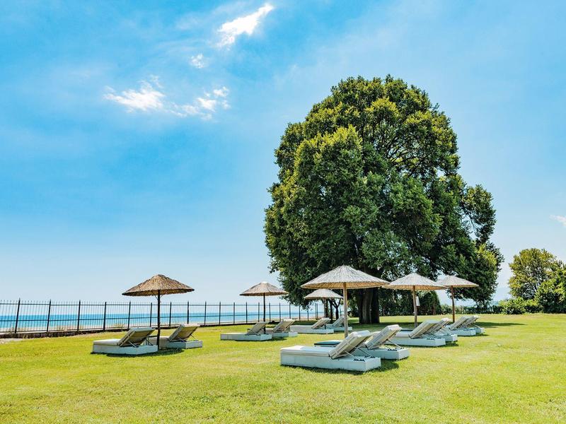 Green lawn with sunbeds and umbrellas by a large tree, overlooking the sea under a partly cloudy sky.
