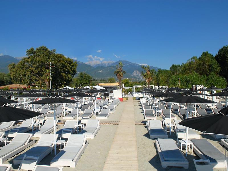 Viele weiße Liegestühle mit schwarzen Schirmen, heller Weg in der Mitte, grünes Gebüsch und blauer Himmel.