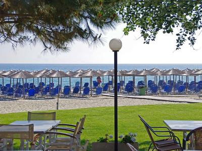 Blick auf einen Strand mit Sonnenschirmen, Liegestühlen und Tischen im Schatten unter Bäumen.