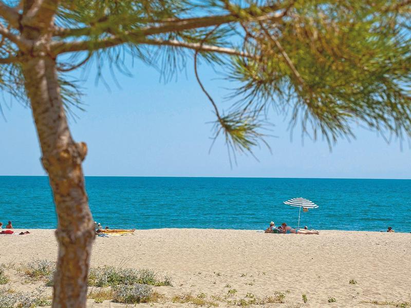 Sandstrand mit blauem Meer, bewölktem Himmel und Baum im Vordergrund